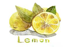 lemonlemon手摇柠檬茶